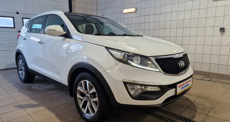 podkarpackie Kia Sportage cena 67900 przebieg: 114000, rok produkcji 2016 z Wieleń